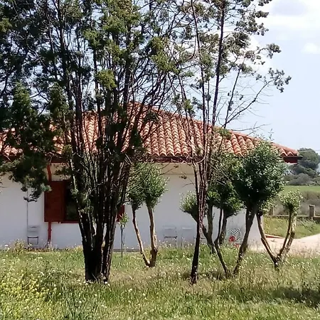 Montis Porto Pino